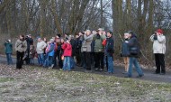 Dort sitzt ein Steinkauz