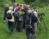 10. Mai 2009: Naturschutzgebiet Waghäusel