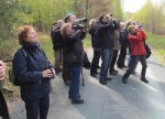 Hier wird der Wendehals beobachtet