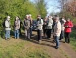 22. April 2012: Vogelwelt des Reinheimer Teiches