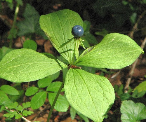 Foto: Stefan Wehr